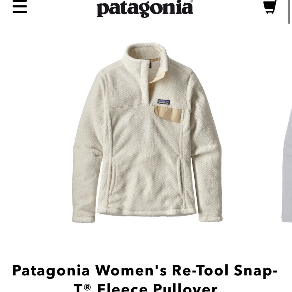 Patagonia Women’s re-tool snap t fleece pullover